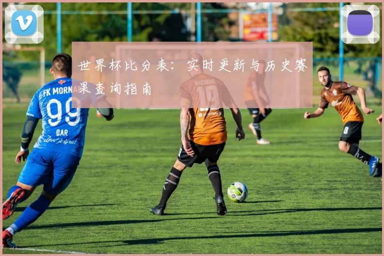 世界杯比分表：实时更新与历史赛果查询指南