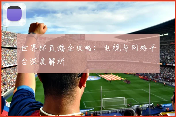 世界杯直播全攻略：电视与网络平台深度解析