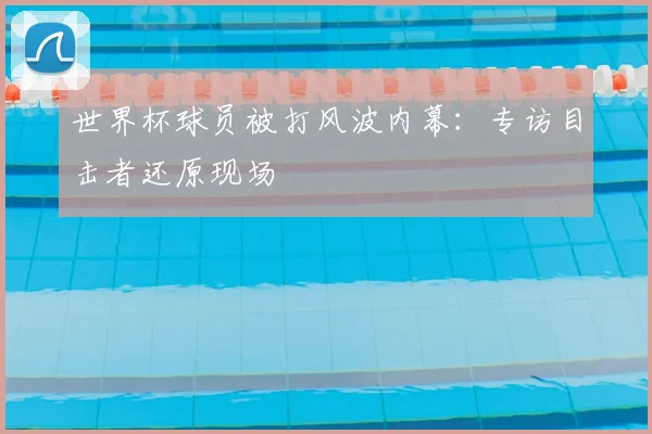 世界杯球员被打风波内幕：专访目击者还原现场