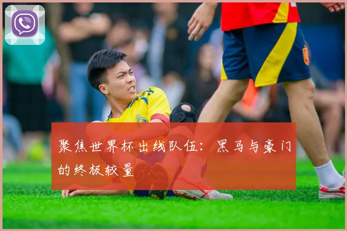 聚焦世界杯出线队伍：黑马与豪门的终极较量