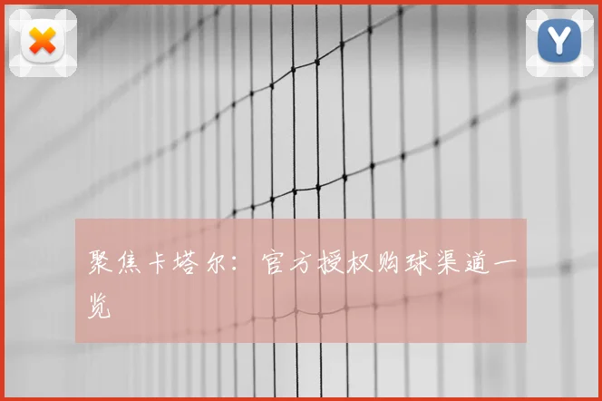 聚焦卡塔尔：官方授权购球渠道一览