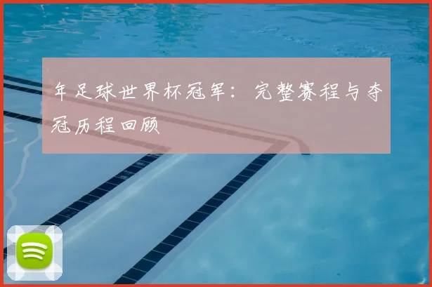 年足球世界杯冠军：完整赛程与夺冠历程回顾