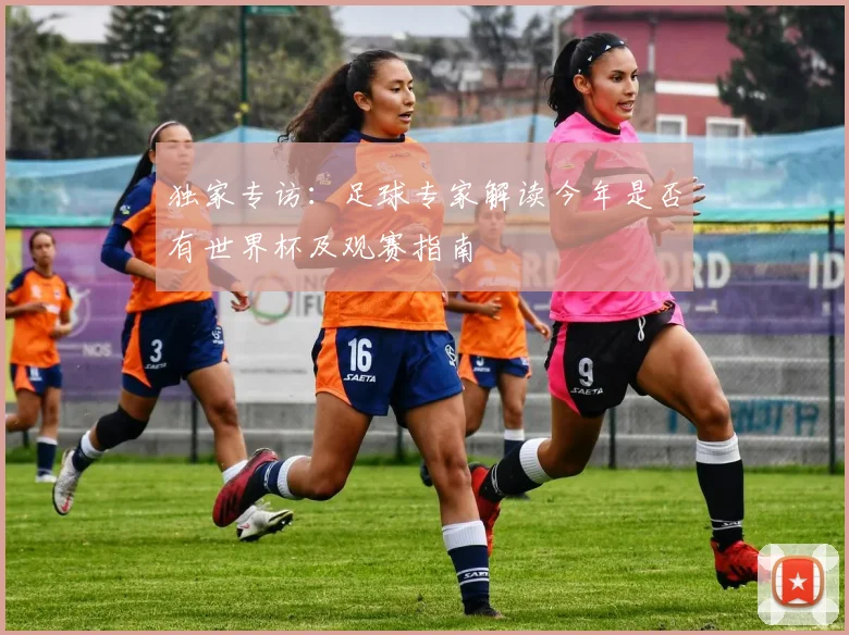 独家专访：足球专家解读今年是否有世界杯及观赛指南