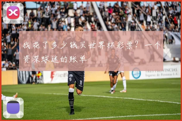 我花了多少钱买世界杯彩票？一个资深球迷的账单