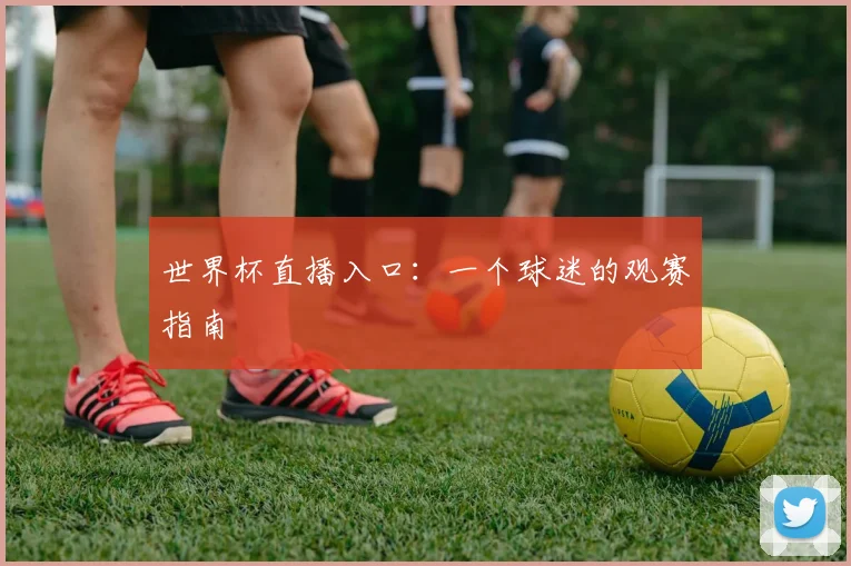 世界杯直播入口：一个球迷的观赛指南