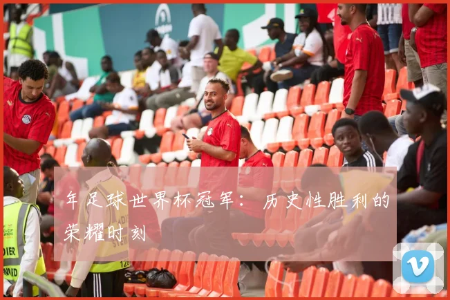 年足球世界杯冠军：历史性胜利的荣耀时刻