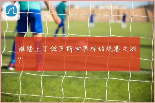 谁踏上了俄罗斯世界杯的观赛之旅？