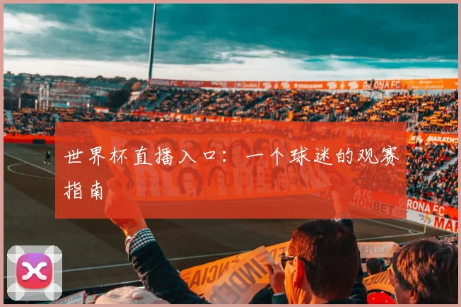 世界杯直播入口：一个球迷的观赛指南